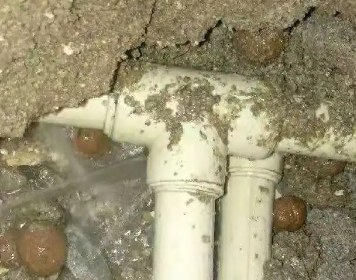 丰泽测漏水多少钱