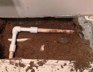 丰泽测漏水哪家好