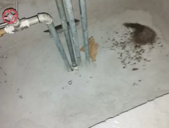 丰泽卫生间测漏水价格明细