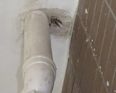 丰泽漏水检测哪家好